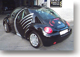 beetle.jpg (25150 byte)